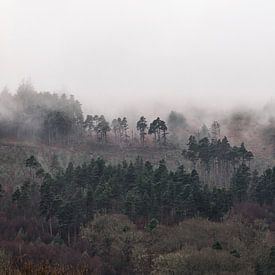 Foggy mountain landscape by Sebastian Rollé - travel, nature & landscape photography