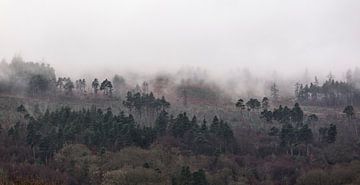 Paysage de montagne brumeux sur Sebastian Rollé - travel, nature & landscape photography