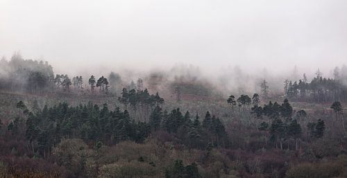Paysage de montagne brumeux sur Sebastian Rollé - travel, nature & landscape photography