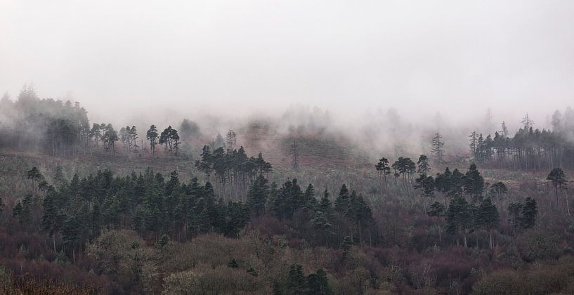 Foggy mountain landscape by Sebastian Rollé - travel, nature & landscape photography