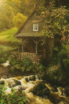 Rainbauernmühle in het Zwarte Woud van GoodMoodPhotos