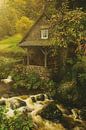 Rainbauernmühle in het Zwarte Woud van GoodMoodPhotos thumbnail