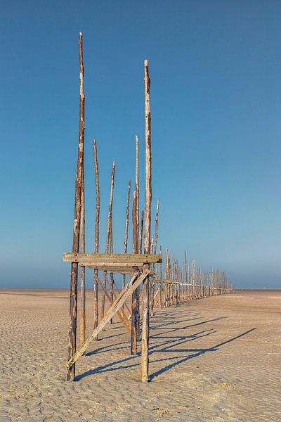 Vlieland-Palisaden auf der Vliehorst von Marly De Kok