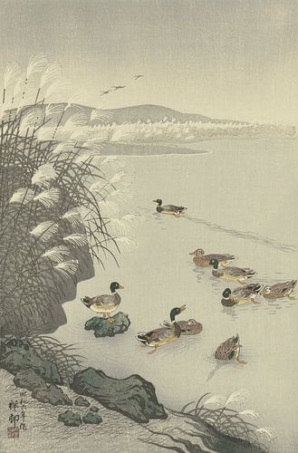 Eenden in het water van Ohara Koson