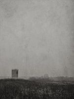 The tower