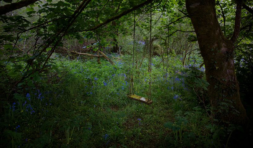 Fairytale 3 by Bo Scheeringa Photography