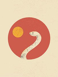 White Snake by Vision Grasp Art