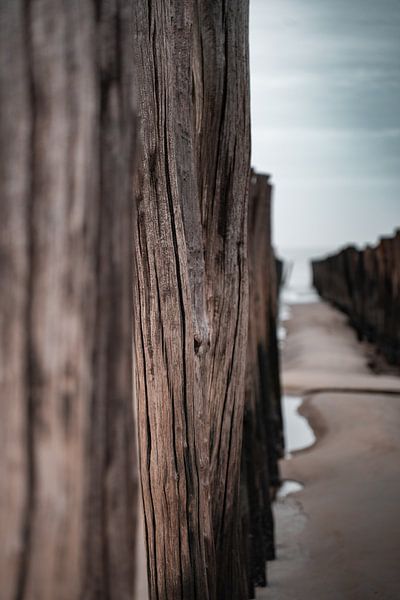 Breakwaters on the coast of Zeeland by Mirja van Dijk
