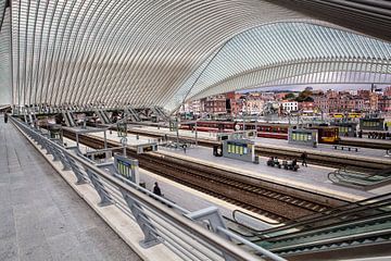 Spoorwegstation Guillemins Luik van Rob Boon