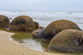 Moeraki boulders in New Zealand