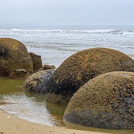 Moeraki-Felsen in Neuseeland von Patricia Hofmeester