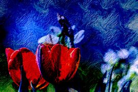 ABSTRACT : FLORA - TULIPS by Photoart-Naegele