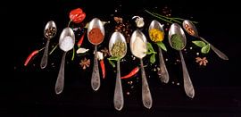 Stilleben mit Kräutern