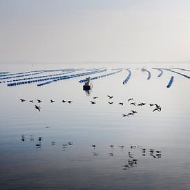 Mussel farm with geese by Rene  den Engelsman