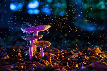 Wunderschön farbig hervorgehobene Pilze mit spritzendem Wasser
