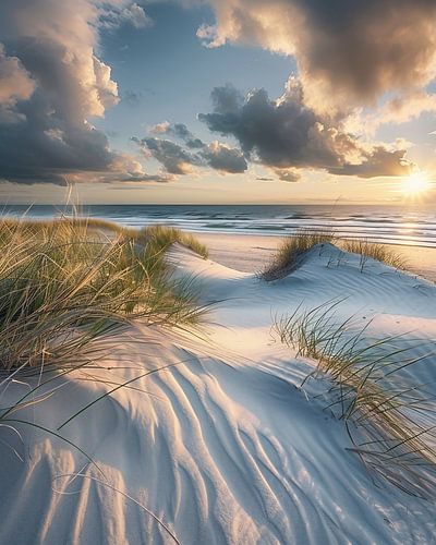 Beautifully illuminated nature