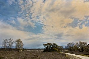 Zuiderheide tussen Laren en Hilversum van Theo Fokker