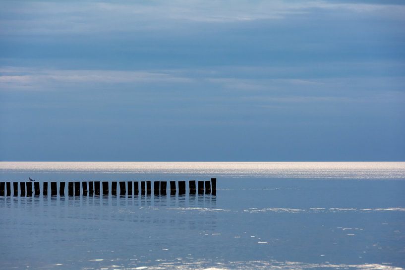 Silence par Claudia Evans
