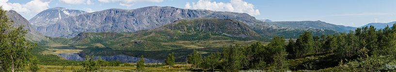 Groot panorama van de Besseggen bergkam  in NP Jotunheimen, Oppland, Noorwegen van Martin Stevens