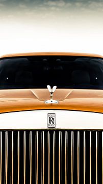 Rolls Royce Cullinan I van Dennis Wierenga