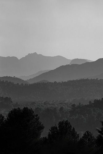 Bergen | fine art | noir et blanc