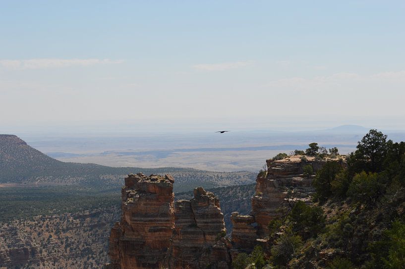 Grand Canyon USA / America, Arizona. by Marije van dijk