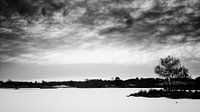 Winter in de Overasseltse en Hatertse Vennen. (zwart/wit) van Lex Schulte thumbnail