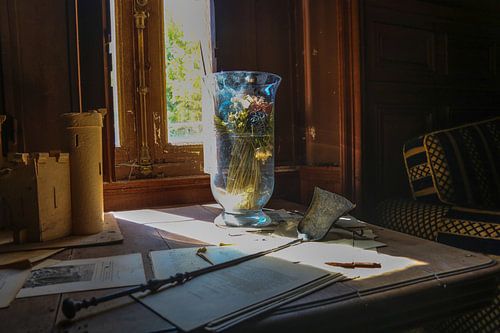 Vase sunlight