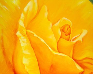Detail einer gelben Rose von Karen Kaspar