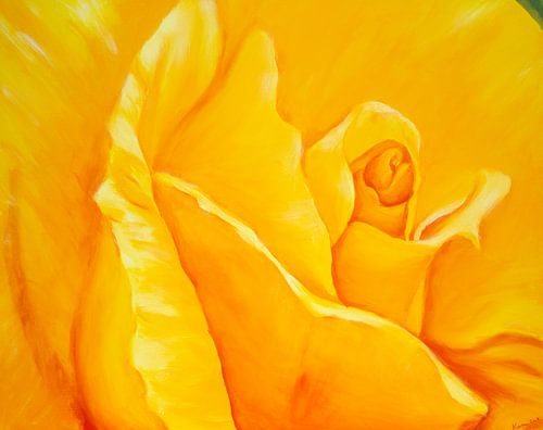 Détail d'une rose jaune