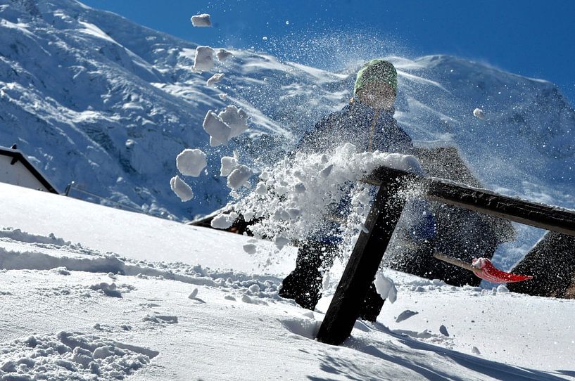 Der Schaufler von The Snowroom