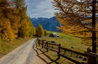 View of mountain pastures and snow-capped mountains in autumn by Sean Vos thumbnail