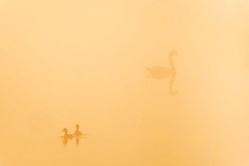 De Ontmoeting – Noordeloos, South Holland, Netherlands by Bas Meelker