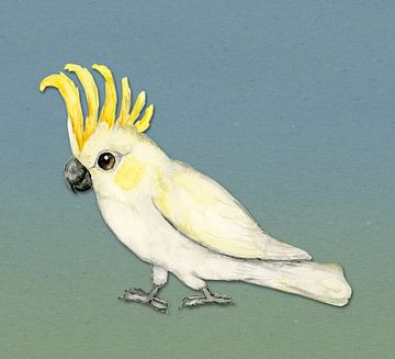 Sulphur crested cockatoo by Bianca Wisseloo
