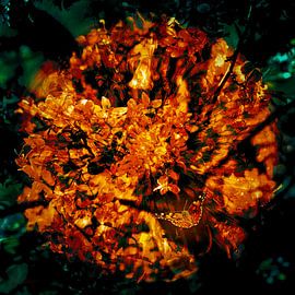 Lueur d'un soir d'été sur Helga Blanke