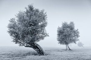 Minimalistische Morgenstimmung