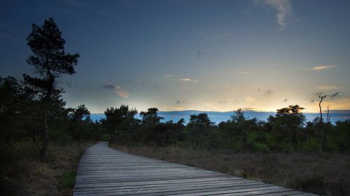 Zonsondergang Twickel