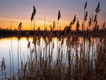 Zonsondergang bij het meer van Christina Bauer Photos