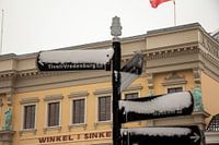 wintersweer in Utrecht