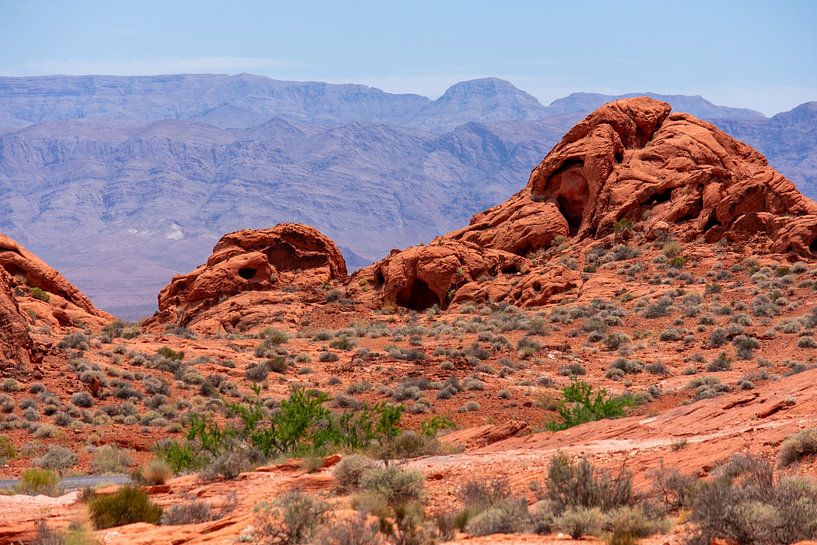 The fire-red rocks by Onno van Kuik