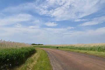 An abandoned country road by Claude Laprise