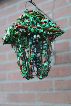Green Lantern of Nature by Martijn Hendrikx