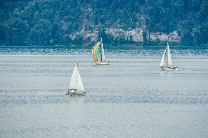 Drei Segelboote genießen den Wind auf einem See von adventure-photos