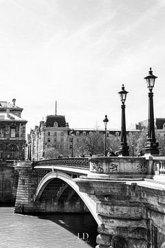 Parijse brug van Lisanne Diks