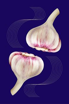 Symmetrical garlic bulbs