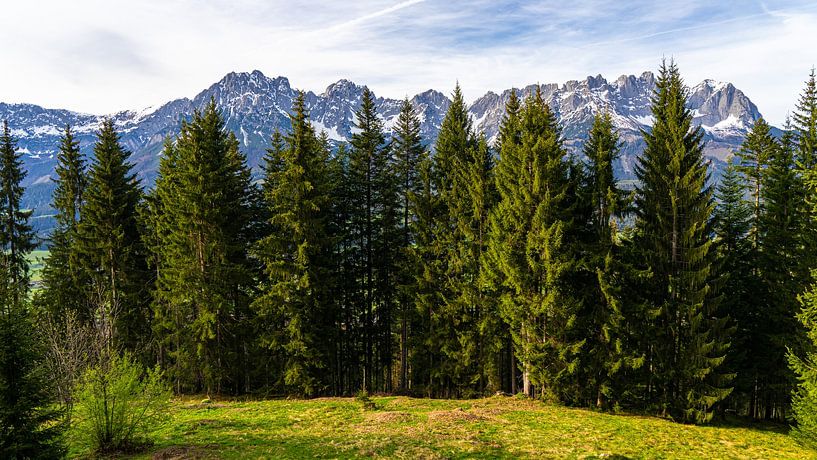 Bomen en uitzicht op bergen van Wilder Kaiser in Oostenrijk van Jessica Lokker