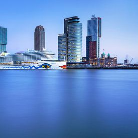 Skyline Rotterdam by Eelco de Jong