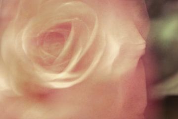 Een foto met een schilderachtige uitstraling van een roos van Erna Böhre