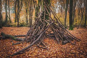 Takkenhut [Herfst]