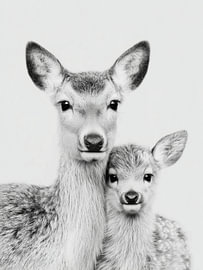 Reh mit Kitz – Tierkunst in Schwarzweiß